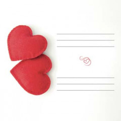 TVD323220 альбом под наклейку 