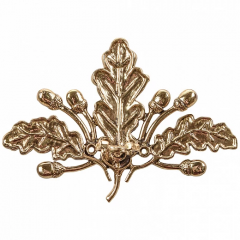 Подарочный набор Ложка обувная с держателем в деревянной шкатулке