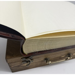 Медичи кожаный альбом в кейсе с барельефом