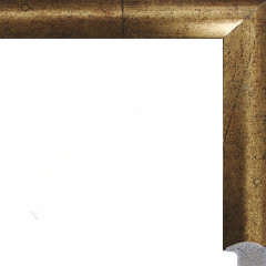 AR-92 пластиковая рамка 40-50