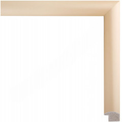 AR-93 пластиковая рамка 40-50