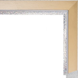 AR-67 пластиковая рамка А2