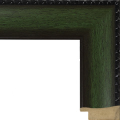 AR-37 пластиковая рамка 50-50