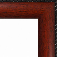 AR-38 пластиковая рамка 50-60