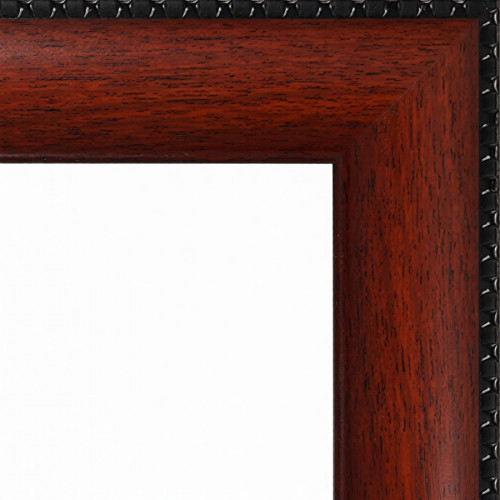 AR-38 пластиковая рамка 50-60