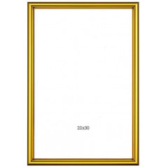 MR-227 пластиковая рамка 20-30