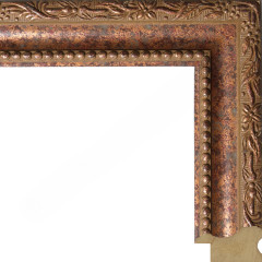 AR-81 пластиковая рамка А1