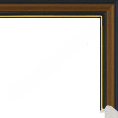 AR-99 пластиковая рамка 50-70